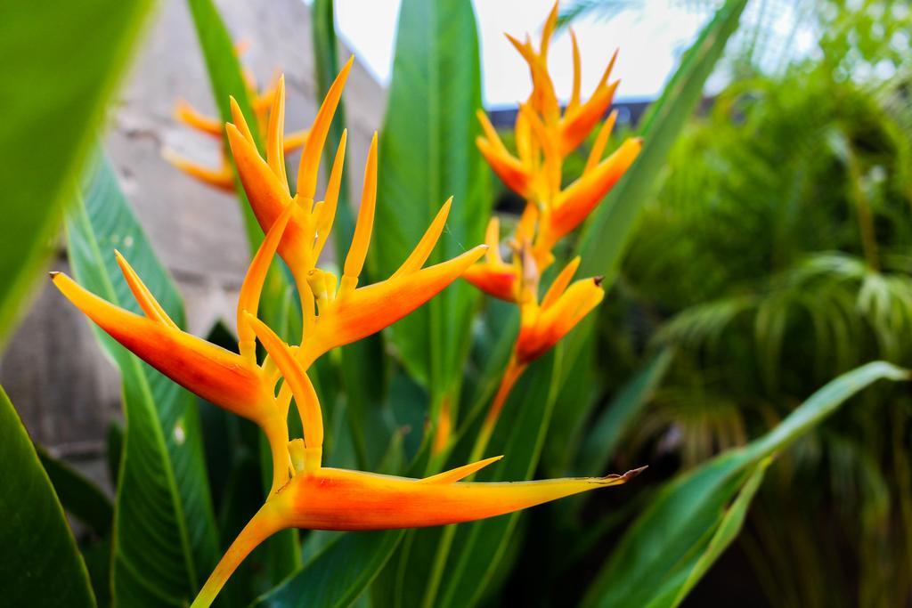 Goodhope Villa Sam Roi Yot Ngoại thất bức ảnh
