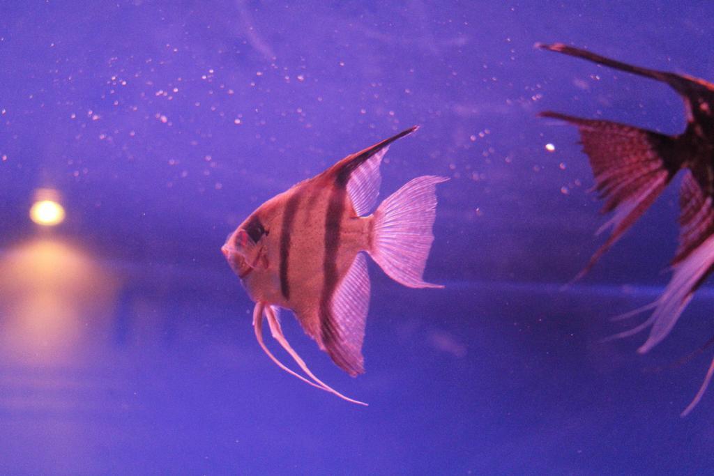 Goodhope Villa Sam Roi Yot Ngoại thất bức ảnh